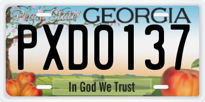 GA license plate PXD0137