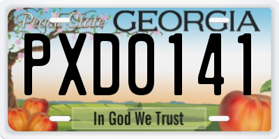 GA license plate PXD0141