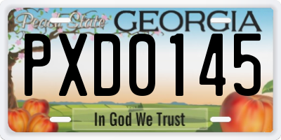 GA license plate PXD0145