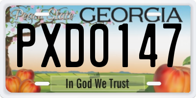 GA license plate PXD0147