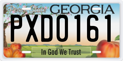 GA license plate PXD0161