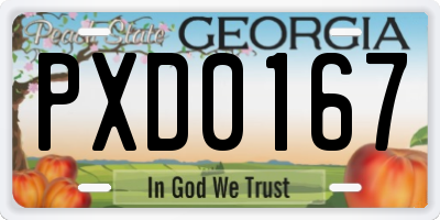 GA license plate PXD0167