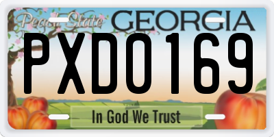 GA license plate PXD0169