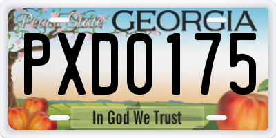 GA license plate PXD0175