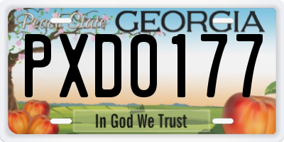 GA license plate PXD0177
