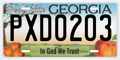 GA license plate PXD0203