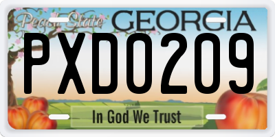 GA license plate PXD0209