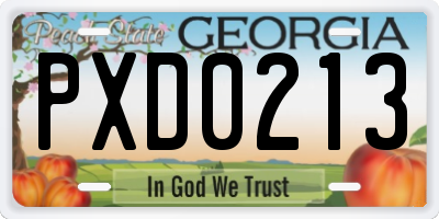 GA license plate PXD0213