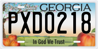 GA license plate PXD0218