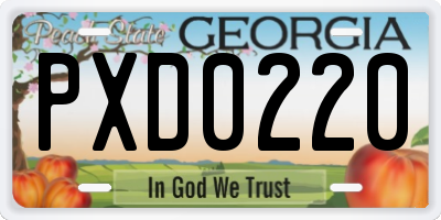 GA license plate PXD0220