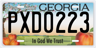 GA license plate PXD0223