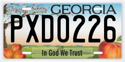 GA license plate PXD0226