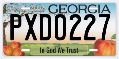 GA license plate PXD0227