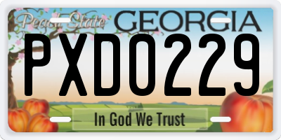 GA license plate PXD0229