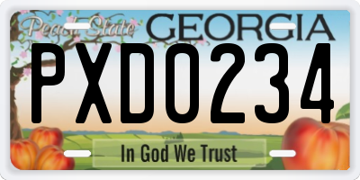 GA license plate PXD0234