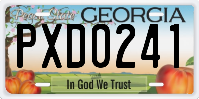 GA license plate PXD0241