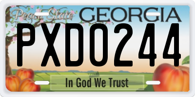 GA license plate PXD0244