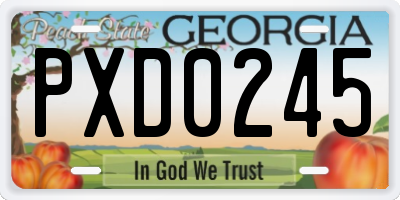 GA license plate PXD0245