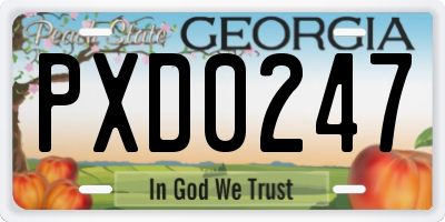 GA license plate PXD0247