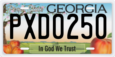 GA license plate PXD0250