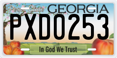 GA license plate PXD0253