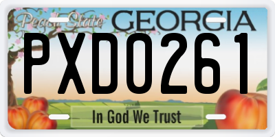GA license plate PXD0261