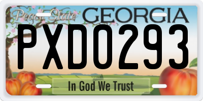 GA license plate PXD0293