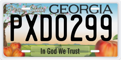 GA license plate PXD0299