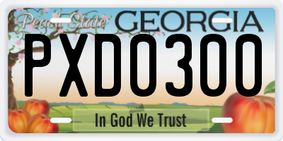 GA license plate PXD0300