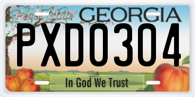 GA license plate PXD0304