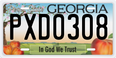 GA license plate PXD0308