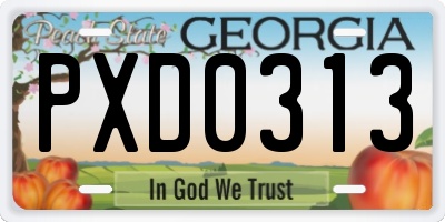 GA license plate PXD0313