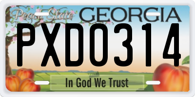 GA license plate PXD0314