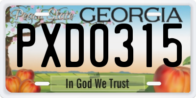GA license plate PXD0315