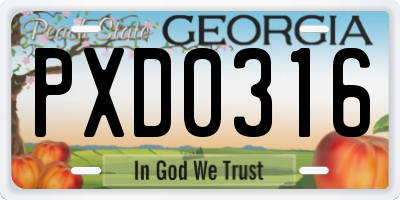 GA license plate PXD0316