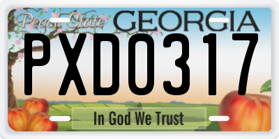 GA license plate PXD0317