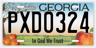 GA license plate PXD0324