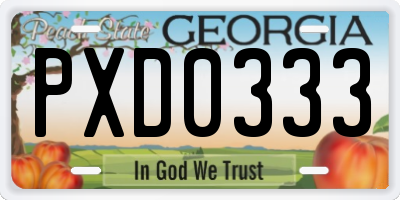 GA license plate PXD0333