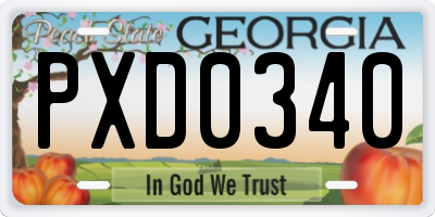GA license plate PXD0340
