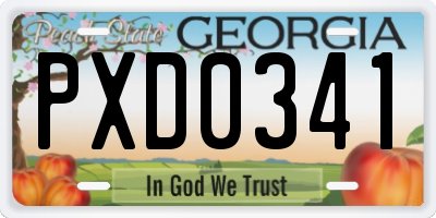 GA license plate PXD0341