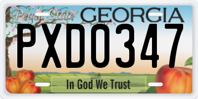 GA license plate PXD0347