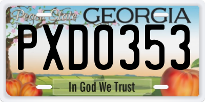 GA license plate PXD0353