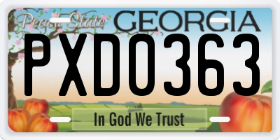 GA license plate PXD0363