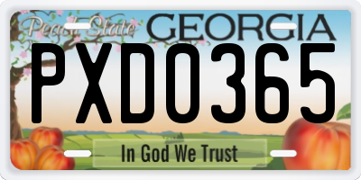 GA license plate PXD0365