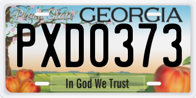 GA license plate PXD0373