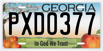 GA license plate PXD0377
