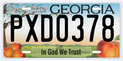 GA license plate PXD0378