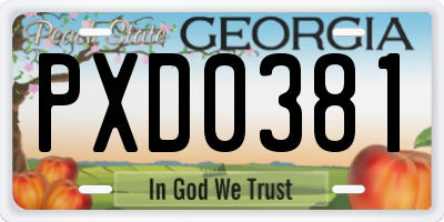 GA license plate PXD0381