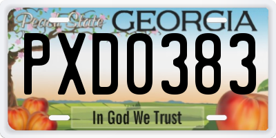 GA license plate PXD0383