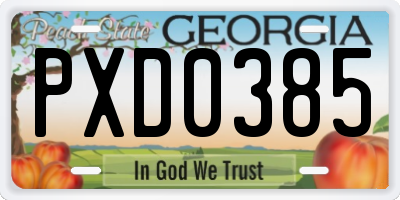 GA license plate PXD0385